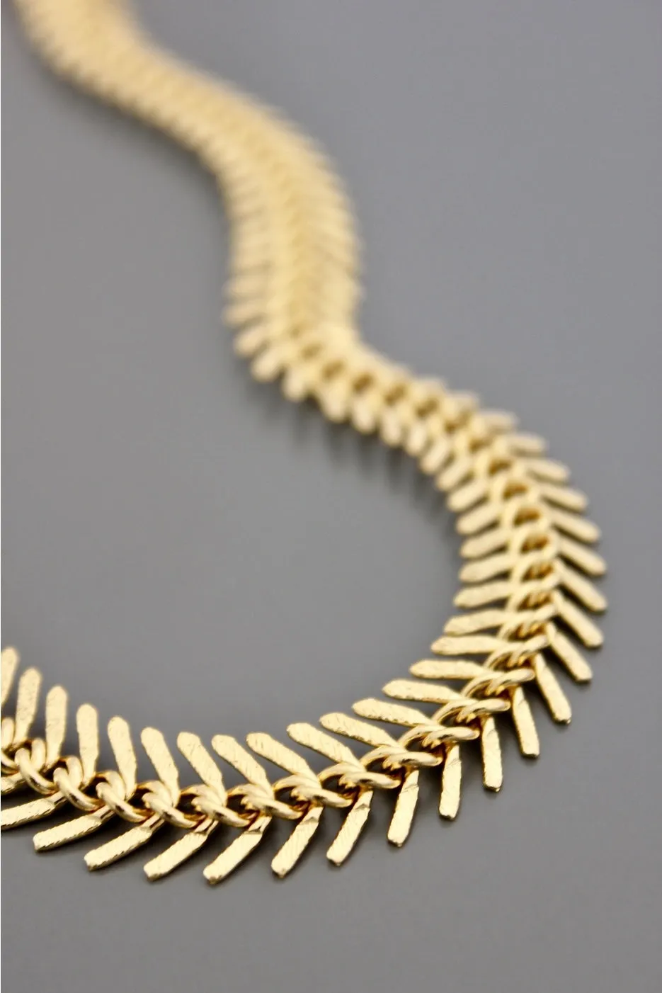 David Aubrey Fishbone Chain Necklace