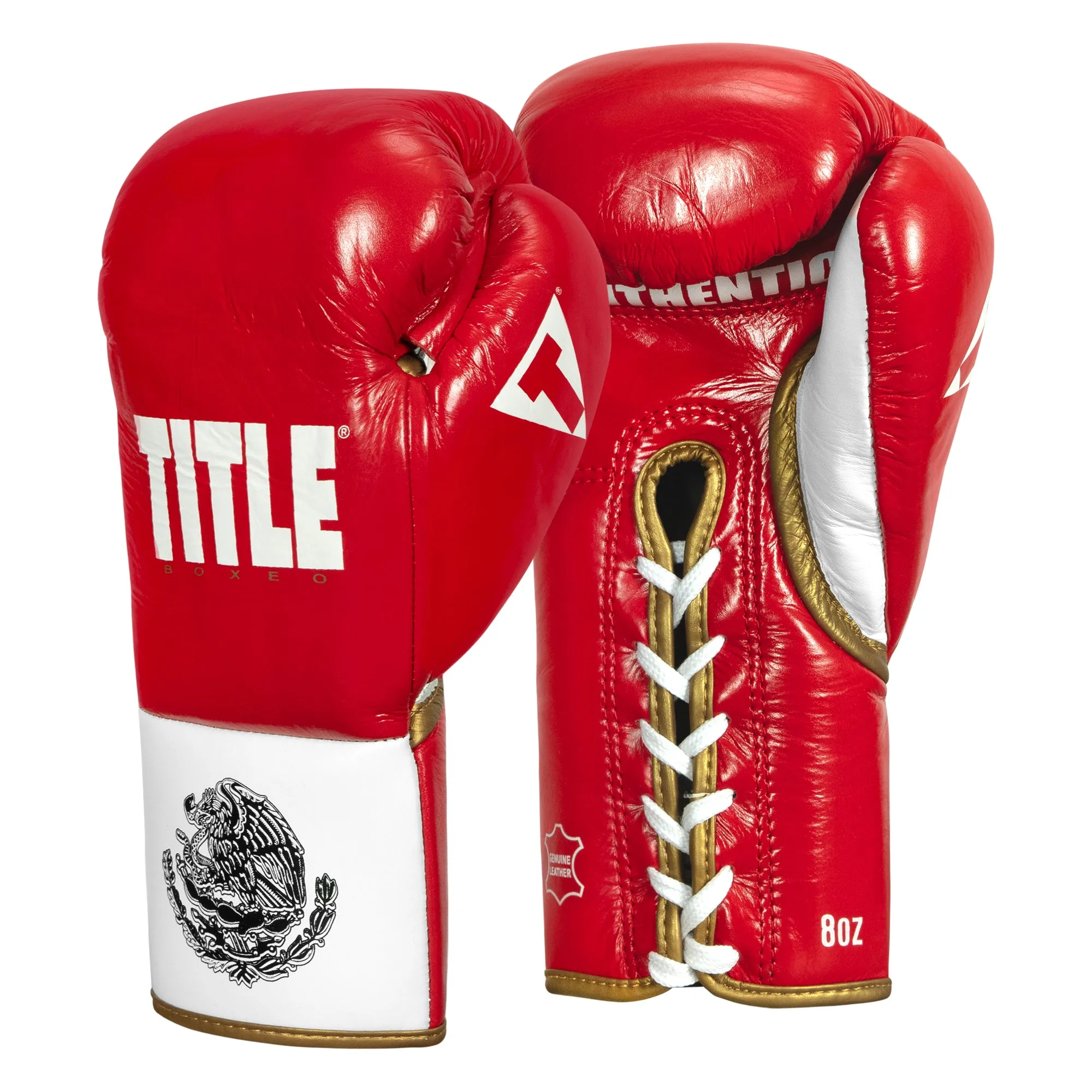 TITLE Boxeo Pro Fight Gloves